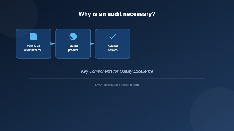 Why is an audit necessary?