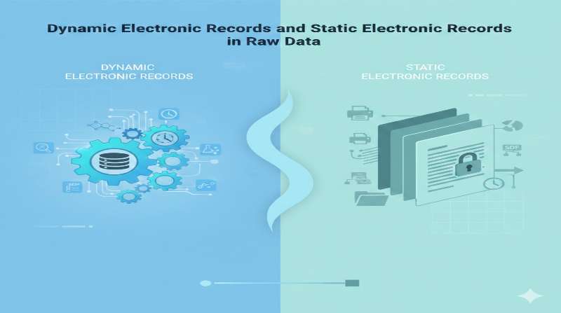 Dynamic Electronic Records and Static Electronic Records infographic