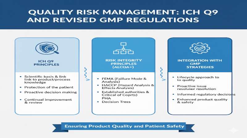 Quality Risk Management ICH Q9 infographic